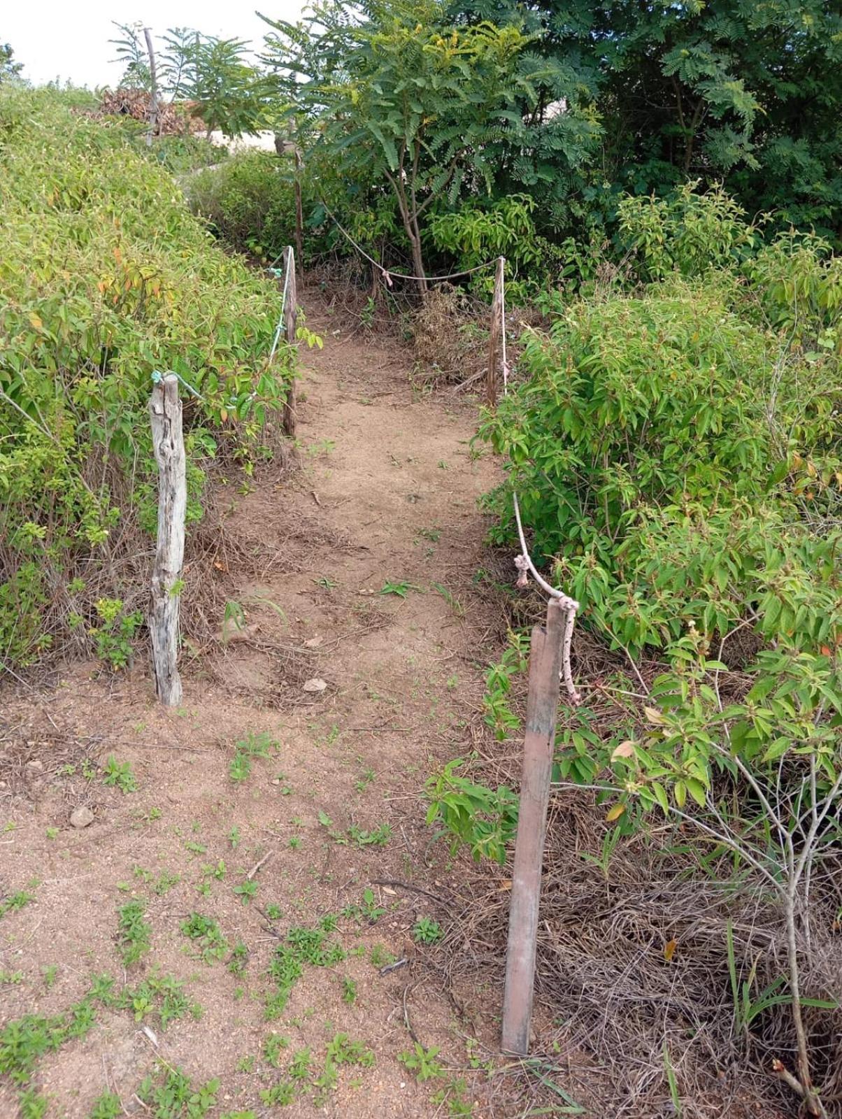 Rosados Serra de Sao Bento